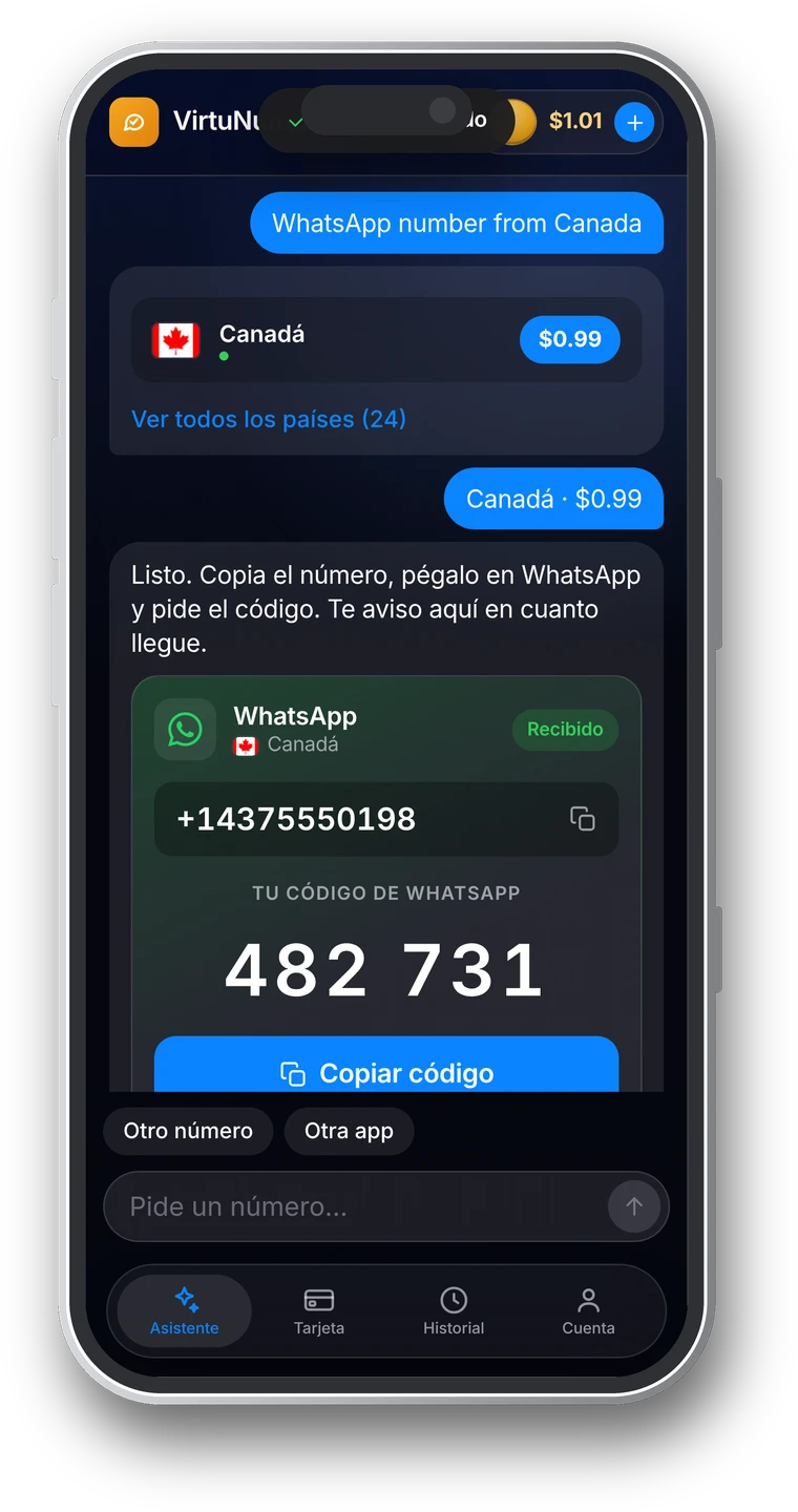 VirtuNumber en el móvil: código de WhatsApp recibido